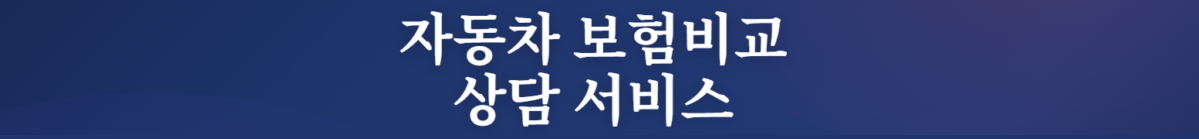 자동차보험